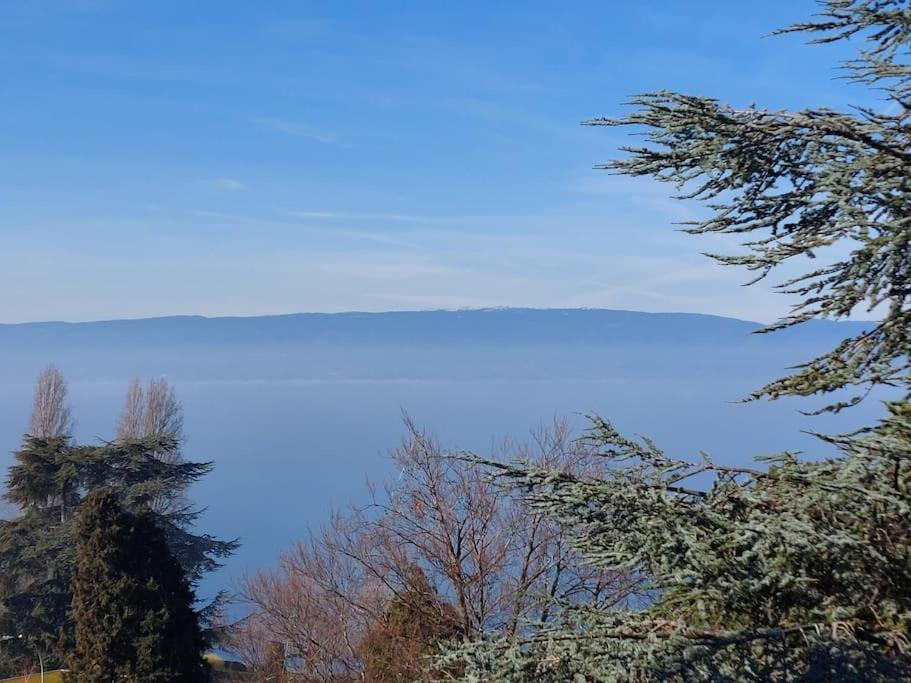 Le Mirabeau Vue Lac Эвиан-ле-Бен Экстерьер фото